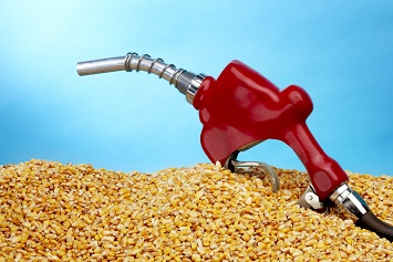 Renewable fuel standard, biofuel, corn