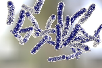 Legionella bacteria, Legionnaire's Disease