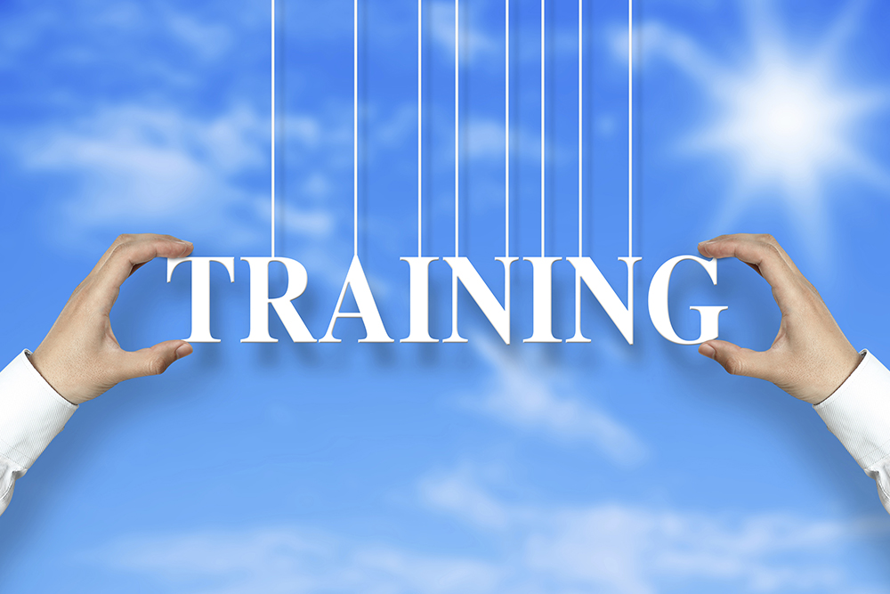 How to Develop On-the-Job Training for Disabled Employees - HR Daily