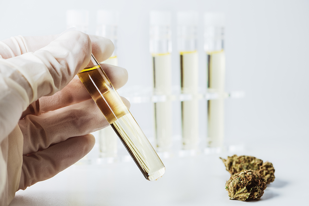 Cannabis and drug testing panel 