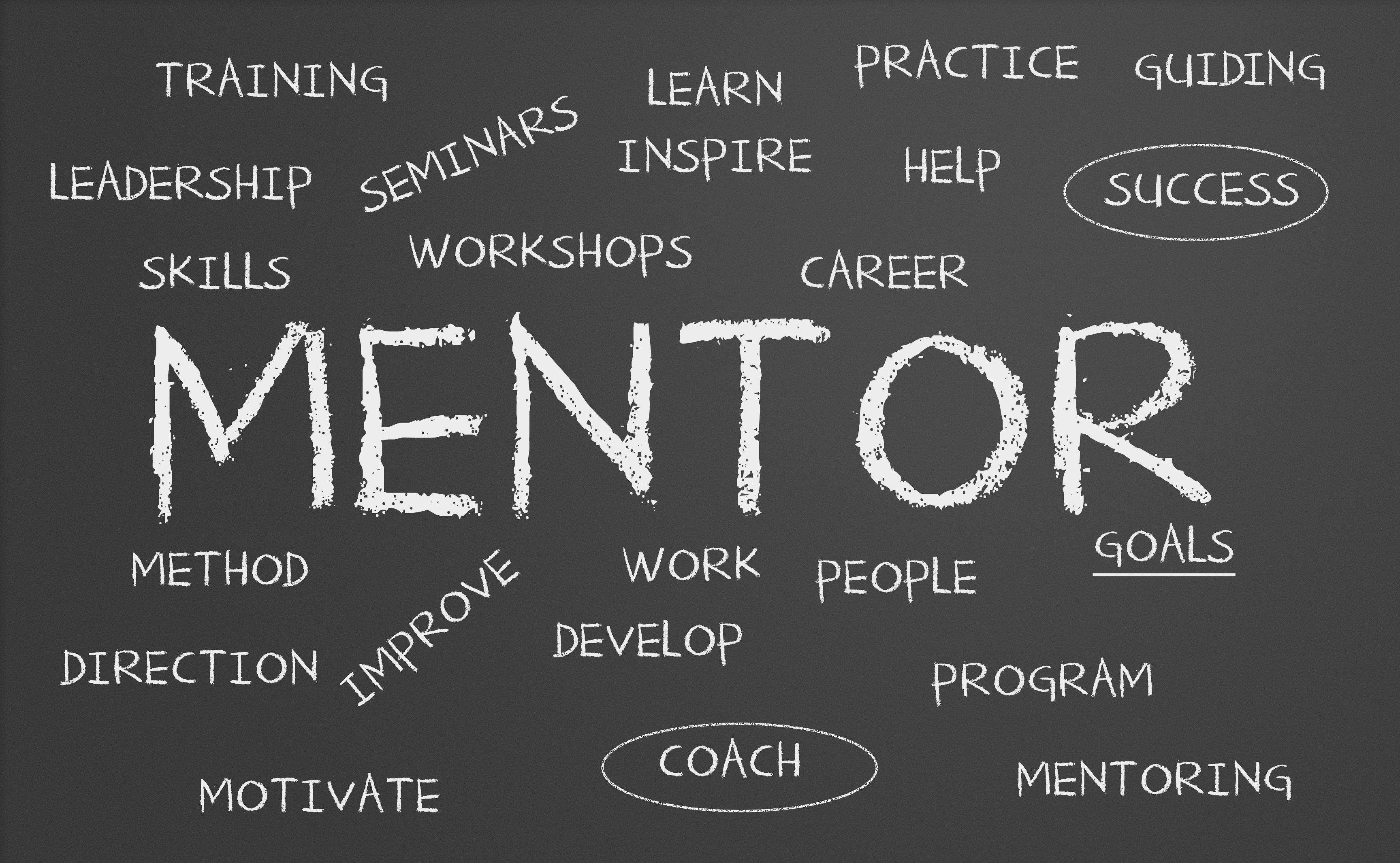 mentorship-benefits-and-methods-l-d-daily-advisor