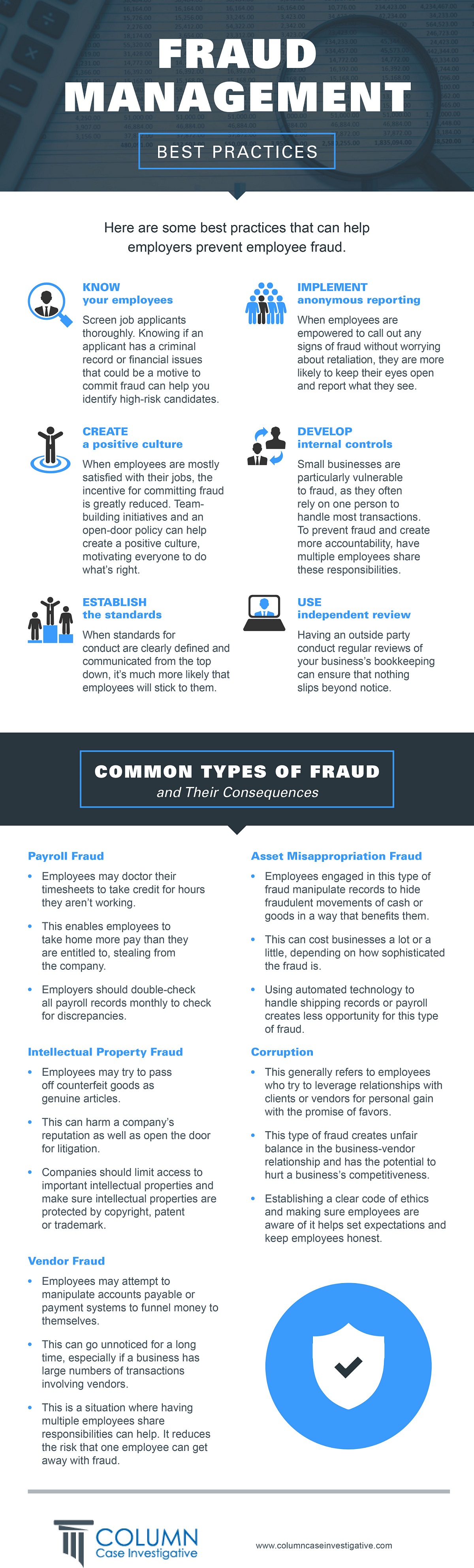 Fraud management infographic