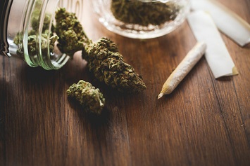 Cannabis buds and joints on table